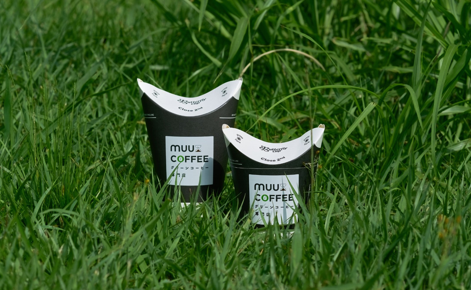 ★数量限定　スペシャルティーグリーンコーヒー　プレミアムオーガニック。 ☆数量限定 スペシャルティーグリーンコーヒー プレミアムオーガニック